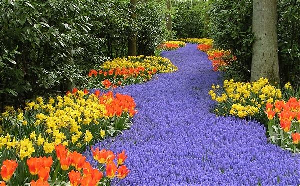 Keukenhof - Maior jardim de flores do mundo